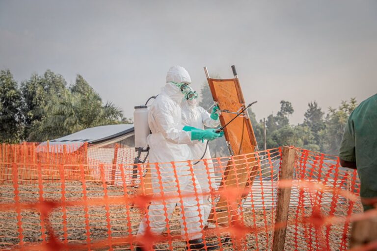 Face au risque de propagation de la maladie à virus Ebola